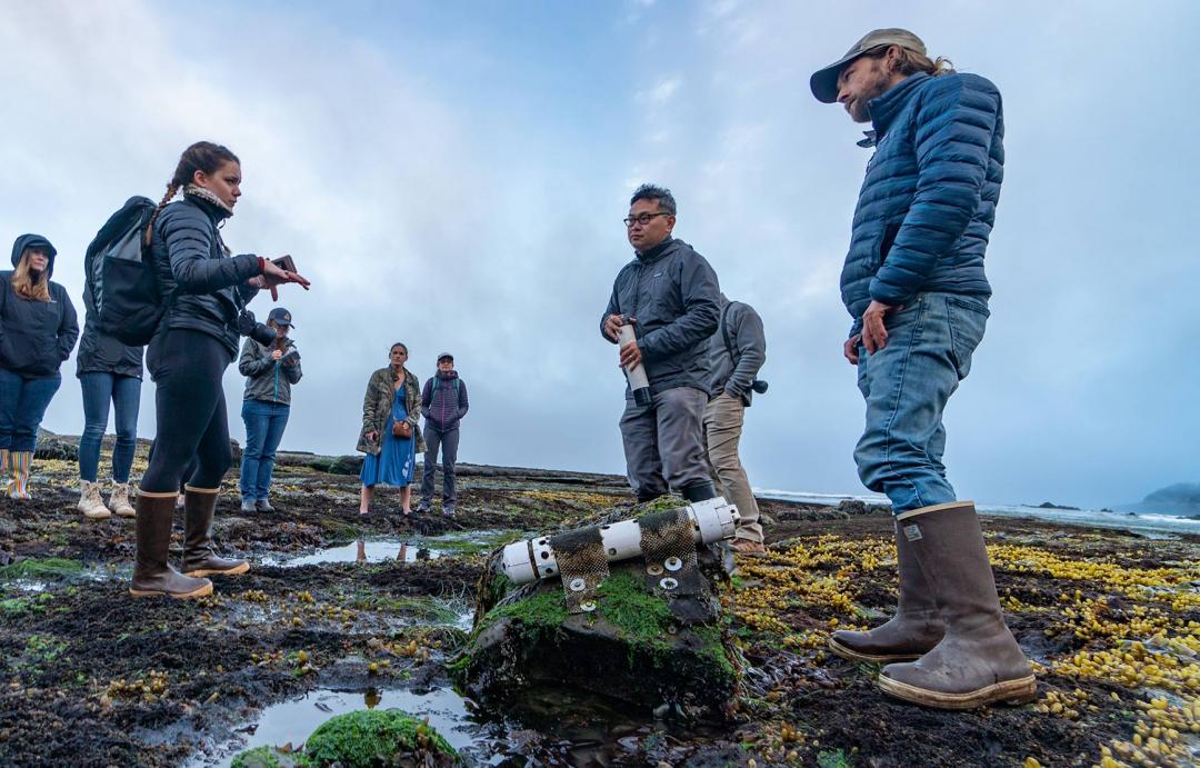 Francis Chan and research team looking at Tidepools in Newport