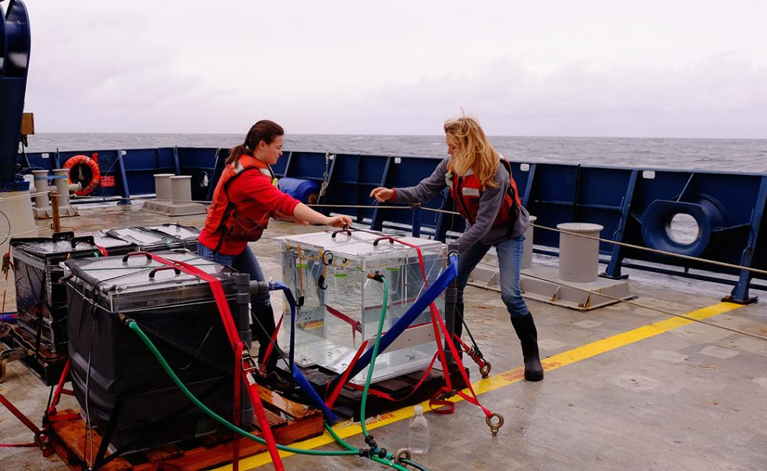 OSU marine researchers out on the boat