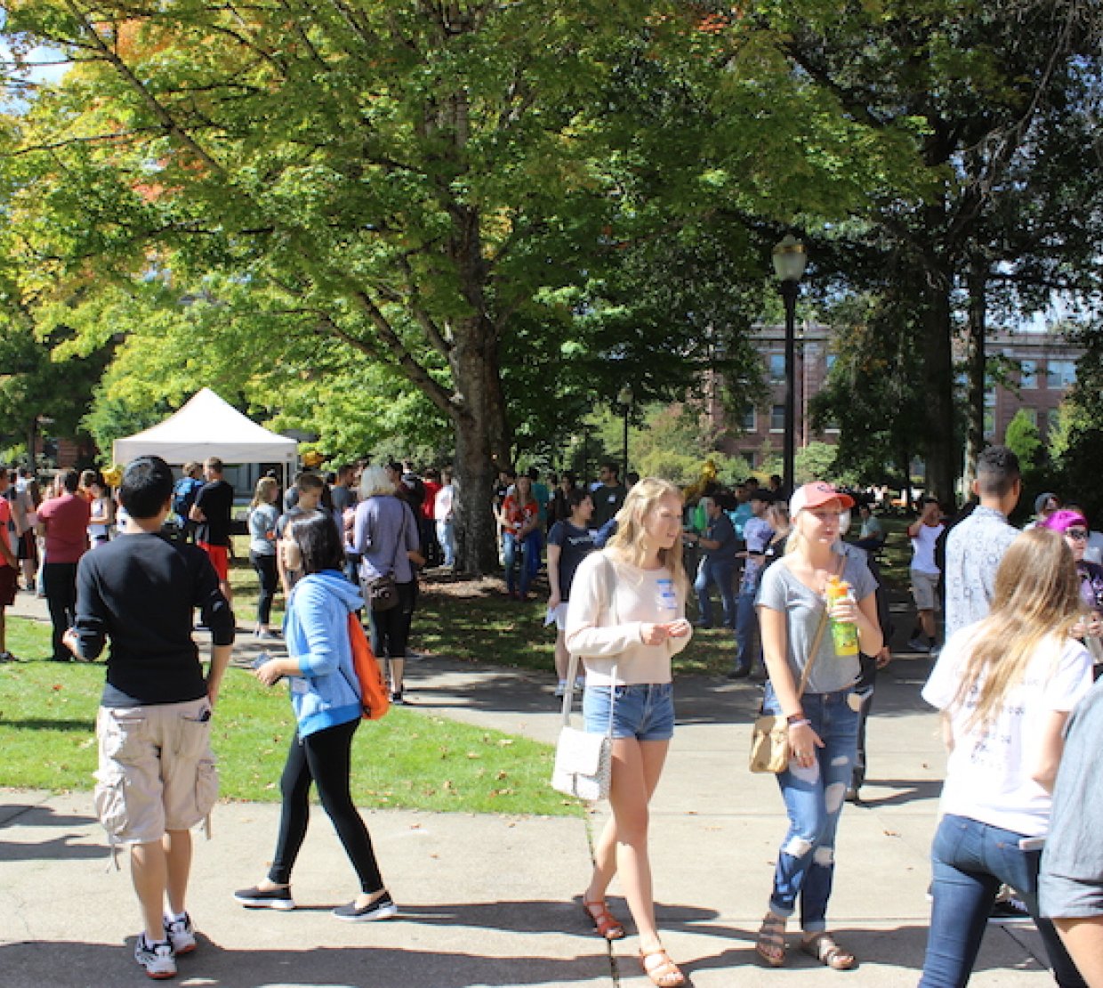 science students checking out booths