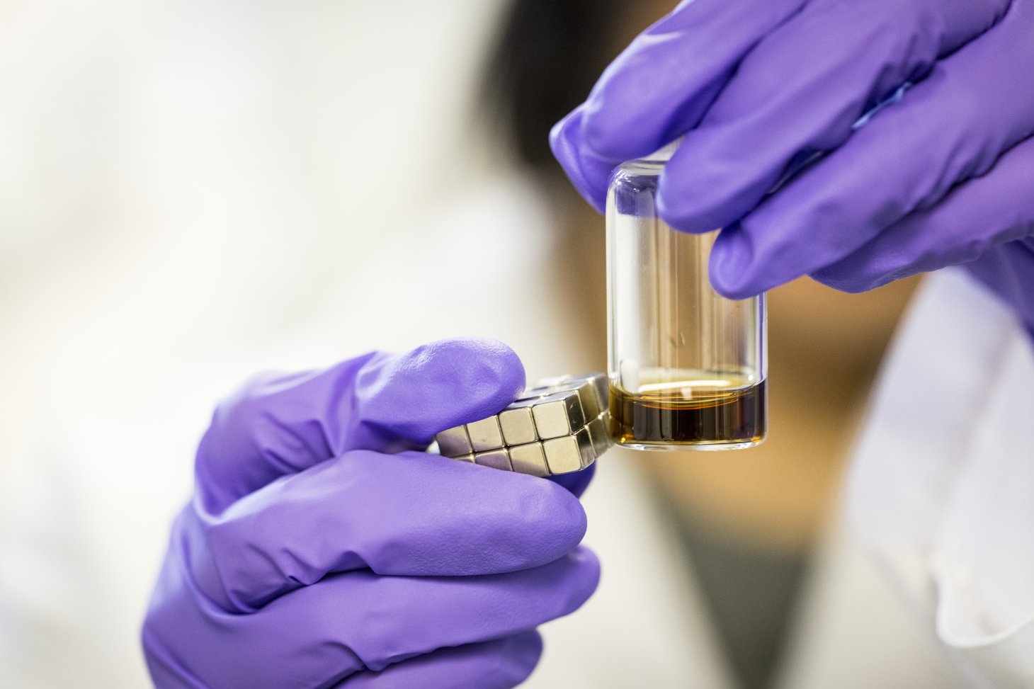 Purple gloves hold a row of cube magnets up to a glass container slightly filled with dark orange solution in a chemistry lab at Oregon State University.