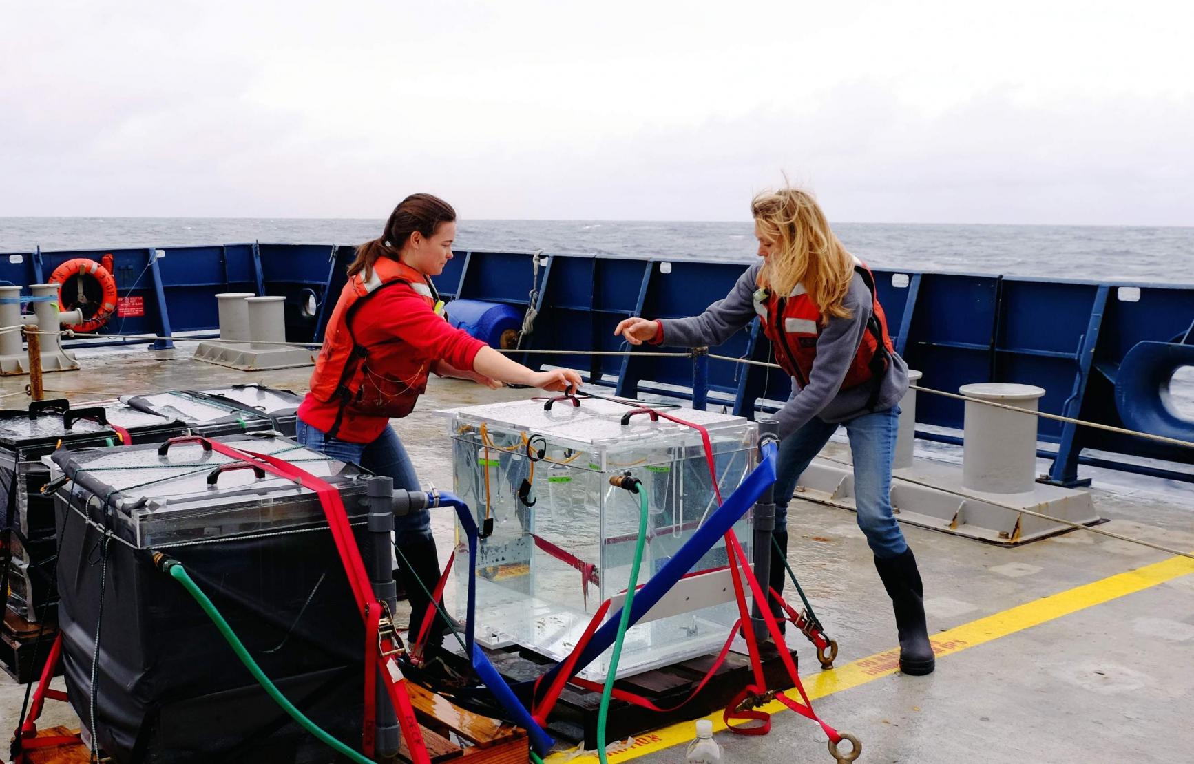 Two scientists on board a boat at sea