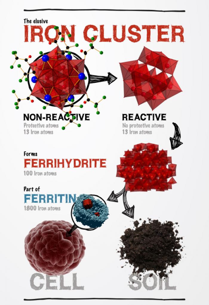 ferrihydrite