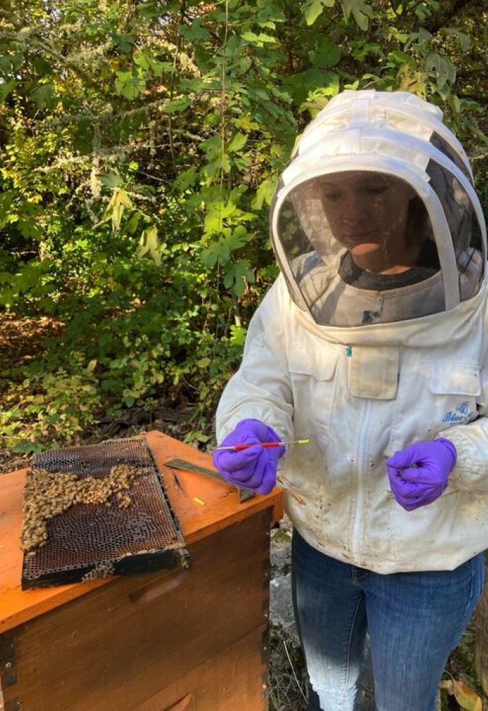 A scientist in a beekeeping outfit stands next to a honeycomb